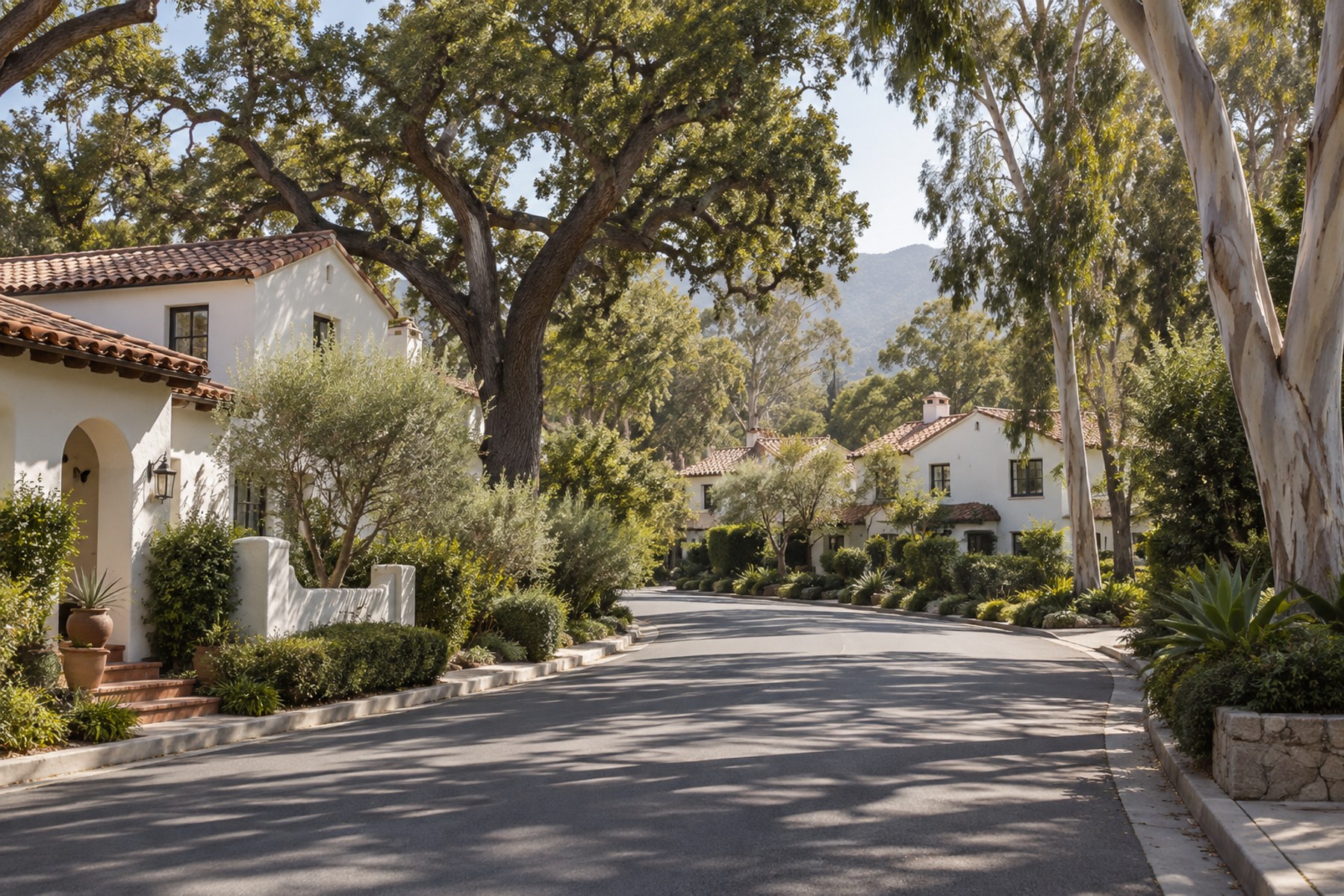 A Santa Barbara South Coast residential street, illustrative